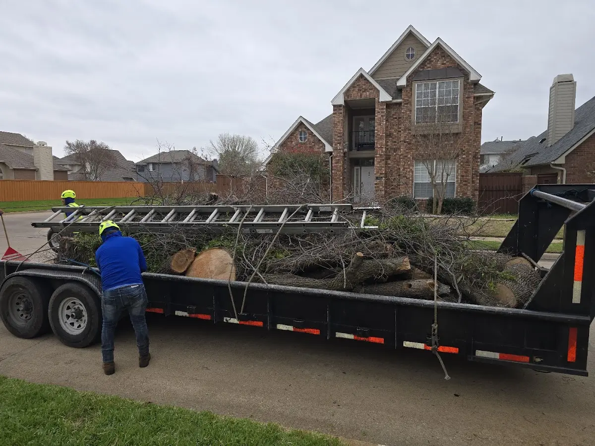 Expert Lot Clearing with proper safety equipment in Vandalia